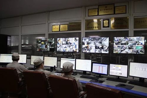 專注乳品九十載，衛崗乳業以優質裝卸服務踐行健康中國夢