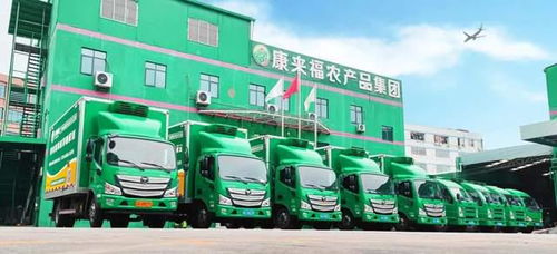 凌晨出發(fā)，康來福將新鮮的云南韭菜送上廣州食堂餐桌